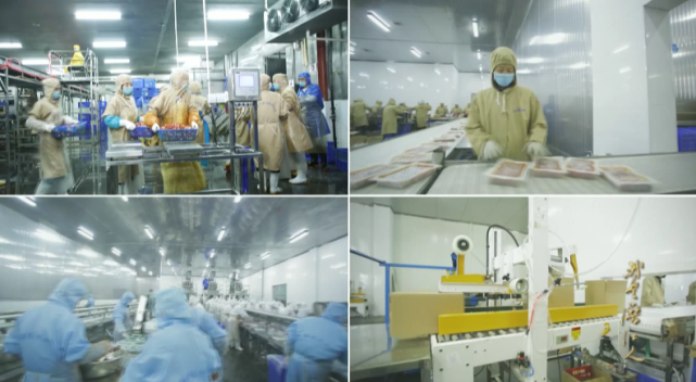 壹定发(中国游)官方网站