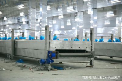 壹定发集团：抓好生长“牛鼻子” 推动项目“虎年红”